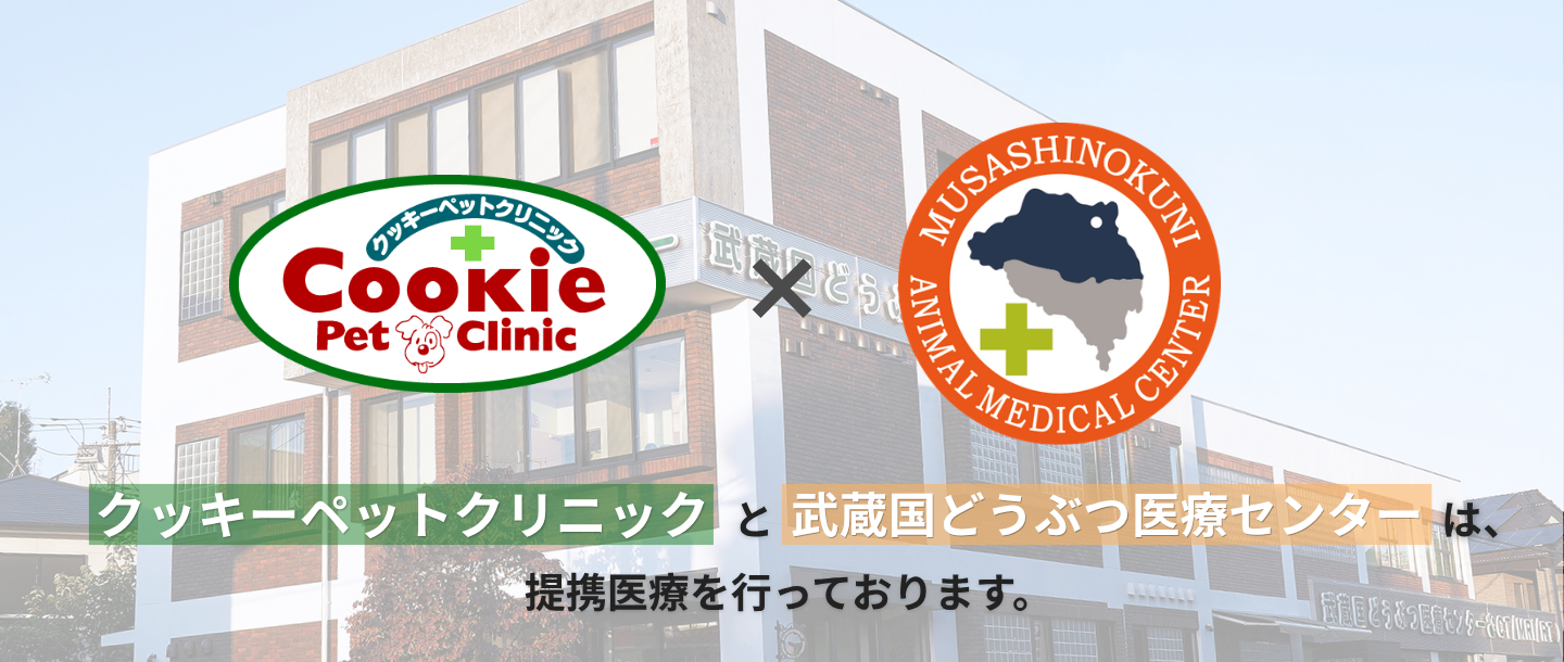 【連携医療】クッキーペットクリニック×武蔵国どうぶつ医療センター